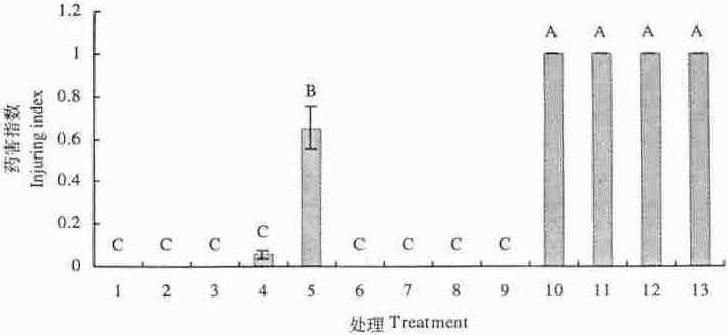 硅處理對甜瓜采后POD、PAL和呼吸強(qiáng)度的影響